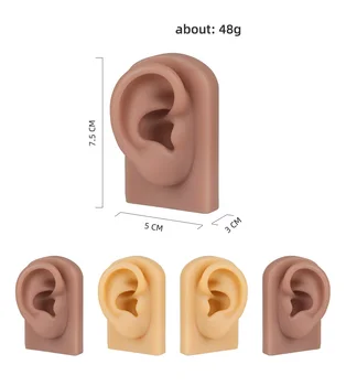 Силиконовая модель уха, имитирующая кожу, модель уха, изучение акупунктуры, практика пирсинга, ювелирные изделия, серьги-гвоздики, дисплей, комплект моделей ушей 6