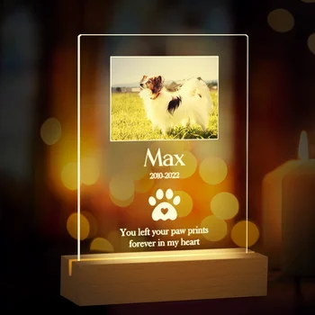 Персонализированные памятные подарки собаке в связи с потерей питомца, памятные подарки собаке Кошке, персонализированная мемориальная доска с ночником для собаки, Фотопластинка B